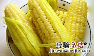 粘玉米的营养价值及功效与作用有哪些 了解一下