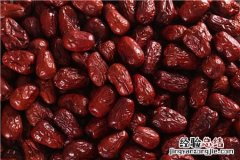 中国早熟红枣之乡在哪里? 中国早熟红枣之乡在哪里