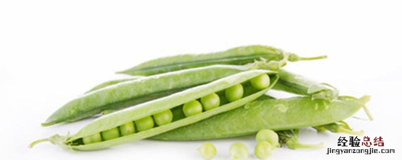 豌豆春天可以种吗 春天可以种豌豆苗吗