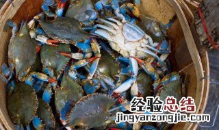 大蟹粥要怎么煮才好吃 大蟹粥怎样煲