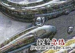 黑鱼的功效与作用禁忌 黑鱼的功效与作用