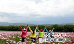集美是什么意思梗 集美是谁的梗