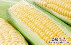 水果玉米的种植技术视频 水果玉米的种植技术