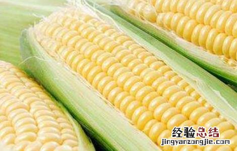 水果玉米的种植技术视频 水果玉米的种植技术
