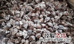 辣木籽有什么作用 辣木籽有什么功效