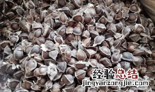 辣木籽有什么作用 辣木籽有什么功效