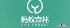 蚂蚁森林碳积分在哪里看 蚂蚁森林的积分怎么看