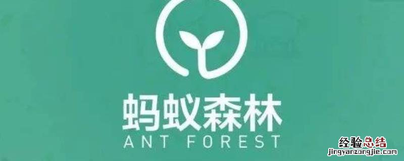 蚂蚁森林碳积分在哪里看 蚂蚁森林的积分怎么看