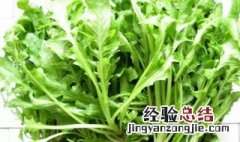 冬季适合种什么菜 现在季节适合种什么菜
