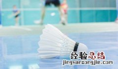 正规羽毛球场地尺寸 正规羽毛球场地尺寸的简介
