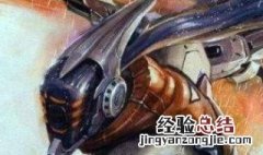 英雄联盟哪些打野英雄适合打团 详细为你解答