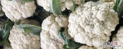 花菜怎么焯水最好 花菜怎么焯水