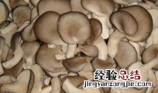 西兰花炒平菇的功效与作用 平菇的功效与作用