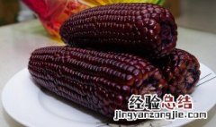 紫玉米的功效与作用点 紫玉米的功效与作用