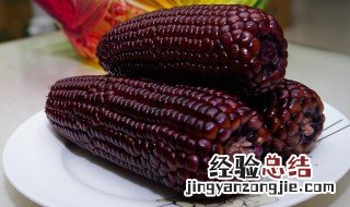 紫玉米的功效与作用点 紫玉米的功效与作用