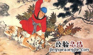 描写武松的一句话 描写武松的精彩片段