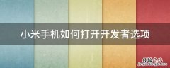 小米手机怎么打开开发者选项 小米手机如何打开开发者选项
