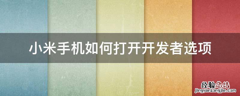 小米手机怎么打开开发者选项 小米手机如何打开开发者选项