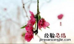 春季如何养生保健 养生方式