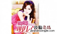 卿卿永王是哪本小说 了解一下作品的简介