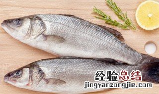 春季怎么钓草鱼 这几个技巧要知道