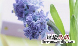 最感人的情话 这些浪漫的表白句子建议收藏
