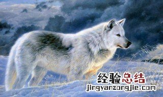 狼报恩电影叫什么 该片的译制名单介绍