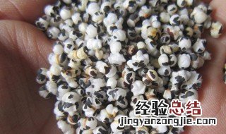 王不留行的禁忌 王不留行的禁忌人群