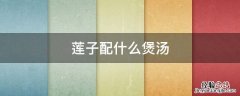 莲子配什么煲汤 莲子配什么煲汤固精