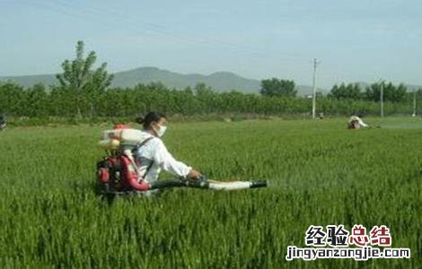 水稻氮肥施用过多处理方法 水稻氮肥过量怎么办