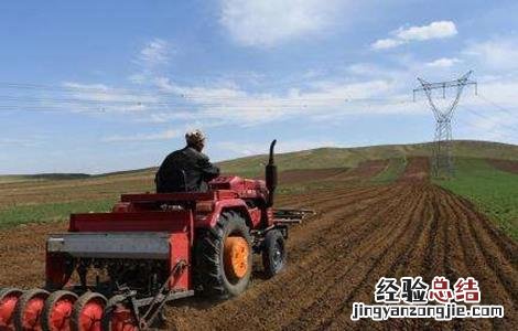 燕麦播种时间和方法 燕麦播种时期和方法