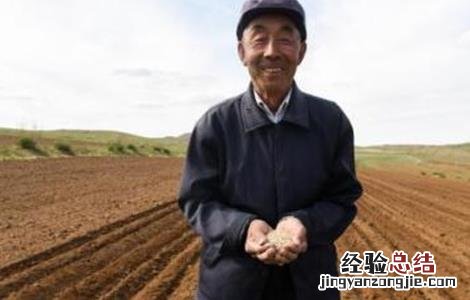 燕麦播种时间和方法 燕麦播种时期和方法