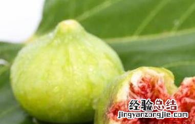 无花果怎么烘干保存 无花果怎么烤干保存