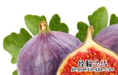 无花果为什么不能吃皮 无花果可以直接吃皮吗