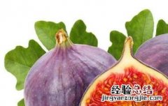 无花果为什么不能吃皮 无花果可以直接吃皮吗