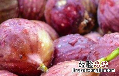 无花果为什么不能吃皮 无花果可以直接吃皮吗