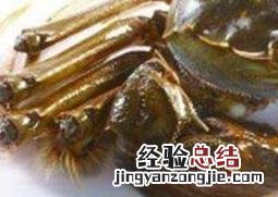 活螃蟹怎么保存时间长 活螃蟹怎么保存