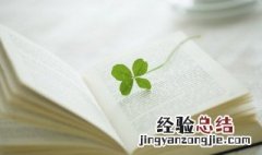 晓迎秋露一枝新不占园中最上春下一句 晓迎秋露一枝新不占园中最上春的后一句