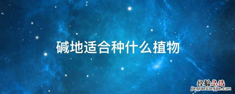 海边盐碱地适合种什么植物 碱地适合种什么植物
