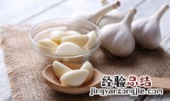 大蒜英语怎么读 怎么读大蒜英语