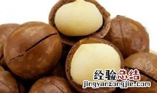 夏威夷果是凉性吗 夏威夷果涼性还是热性
