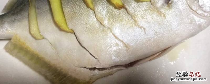 鱼的肥油是什么 鱼肥油是什么部位