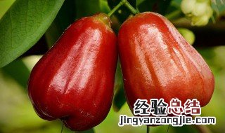 莲雾糖分高吗 莲雾糖分高吗孕妇可以吃吗