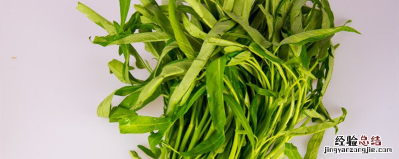空心菜种植株行距 空心菜种植间距多少