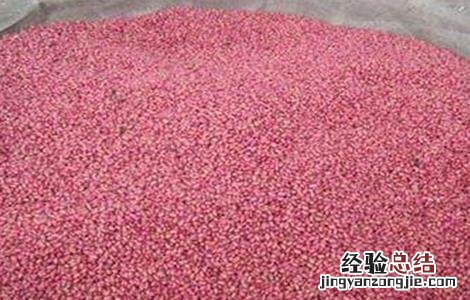 小麦拌种注意事项 小麦拌种要注意些什么