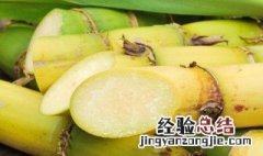 秋冬季吃甘蔗有什么好处 冬天吃甘蔗的好处和坏处是什么