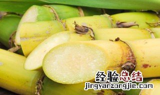 秋冬季吃甘蔗有什么好处 冬天吃甘蔗的好处和坏处是什么