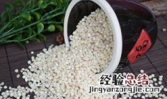 高粱米粥怎么做 高粱米粥怎么做粘稠