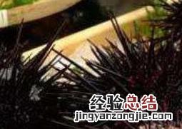 海胆的营养价值及危害 海胆的营养价值