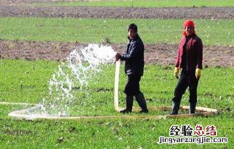 小麦越冬期如何管理 小麦越冬期如何管理